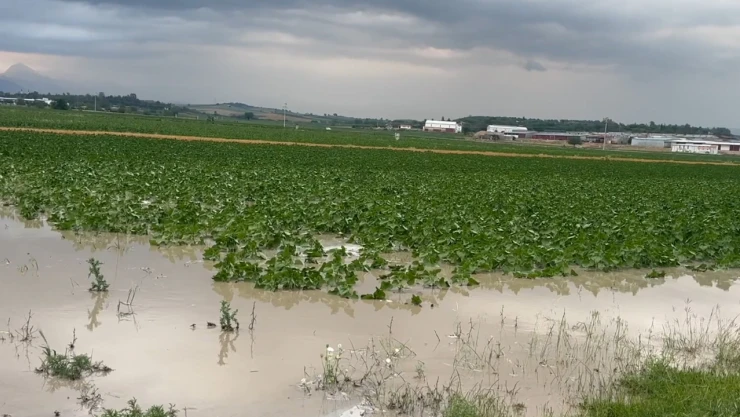 Tarım arazileri sular altında kaldı! Hasar tespit çalışmaları başladı