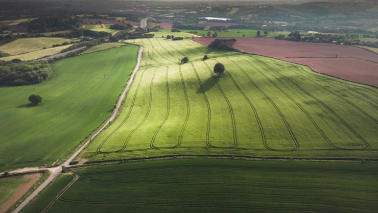 Tarım arazilerinin kullanımının etkinleştirilmesinin desteklenmesine ilişkin karar yayınlandı
