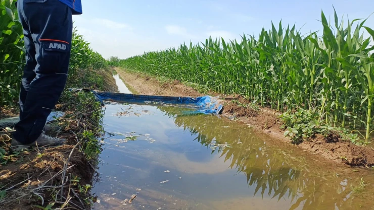 Tarım işçisi sulama kanalında ölü bulundu