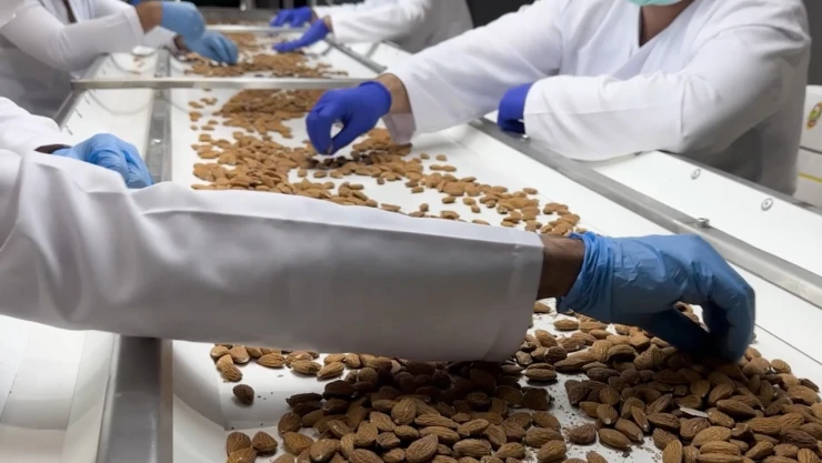 Tarım Mükemmeliyet Merkezi, hükümlülerin tarımsal üretime katılımını sağlıyor