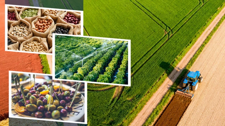 Tarım ve Orman Bakanlığı üretimi güçlendirecek destek paketini devreye aldı