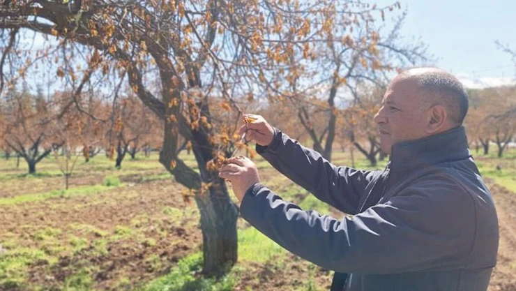TARSİM'den Kahramanmaraş ve Elazığ'a zirai don çıkarması