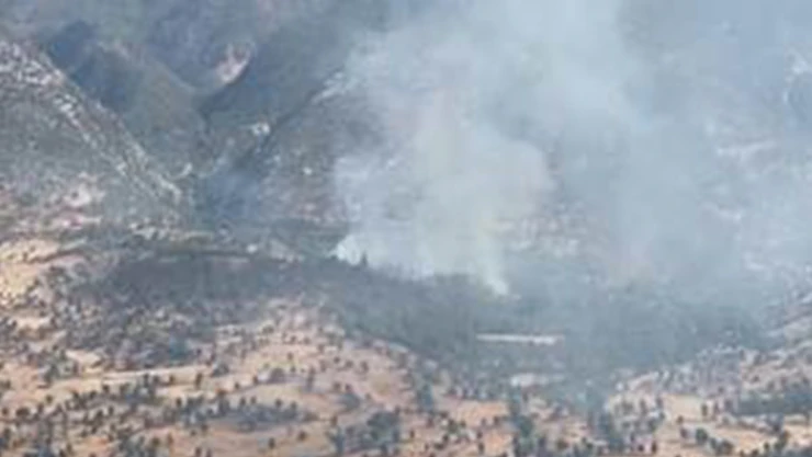 Terör örgütü PKK ormanları yakarak gizlenmeye çalışıyor