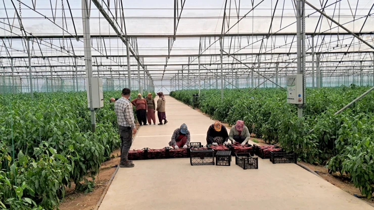 TKDK'den depremzede girişimcilere 200 milyon liralık ilave destek