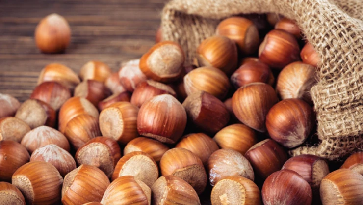 TMO'dan fındık satışına serbest piyasa hamlesi