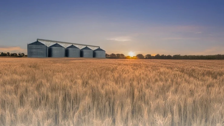 TMO'dan hububat satışına ilişkin yeni duyuru