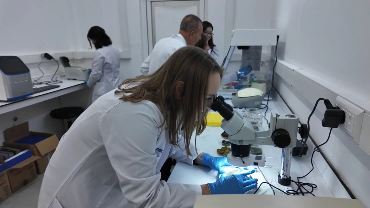 Türk bilim insanları yeni bir buluş için kolları sıvadı