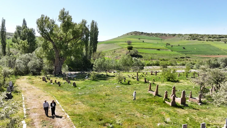 Türk boylarının mezarları, 750 yıllık anıt ağacın gölgesinde zamana direniyor