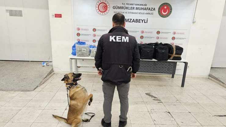 Türk ve İspanyol polisinden uluslararası uyuşturucu ağına darbe