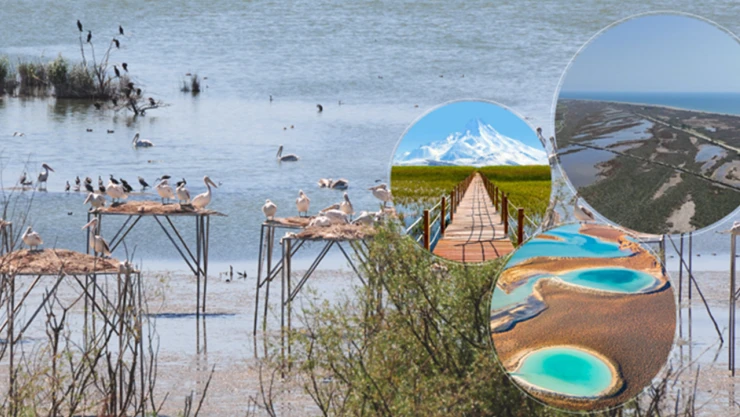 Türkiye'de 131 sulak alan koruma altına alındı