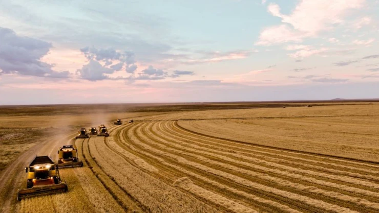 Türkiye'den yılın 7 ayında 7,1 milyar dolarlık hububat ihracatı yapıldı