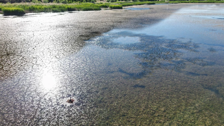 Türkiye'nin göllerinde su seviyeleri düşüyor
