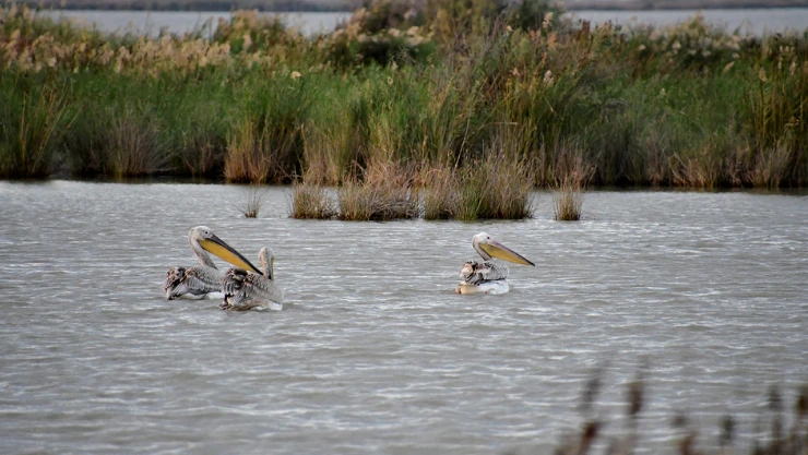 Türkiye'nin göz bebeği özel çevre koruma bölgeleri güvence altında