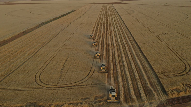 Türkiye'nin hububat ve bakliyat ihracatı yüzde 4,5 arttı