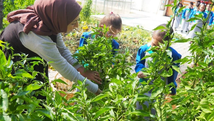 Türkiye'nin ilk Agro Kütüphanesi ilk 5'te