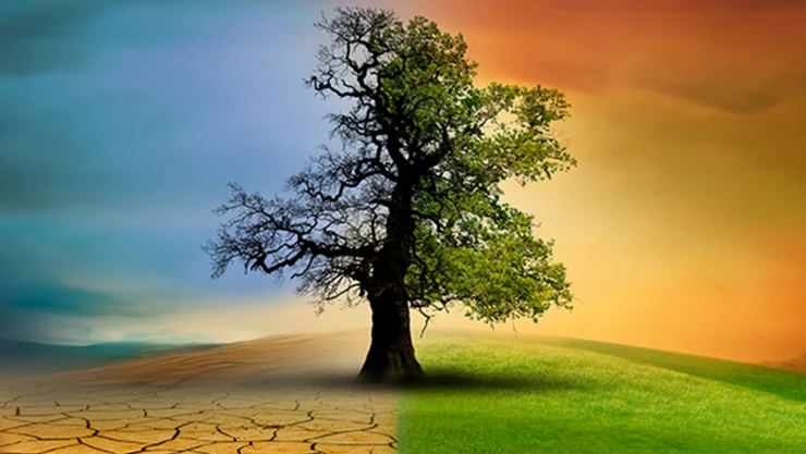 Türkiye'nin ilk iklim kanunu neler getiriyor?