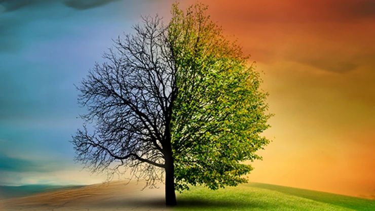 Türkiye'nin ilk iklim kanunu yasalaştı