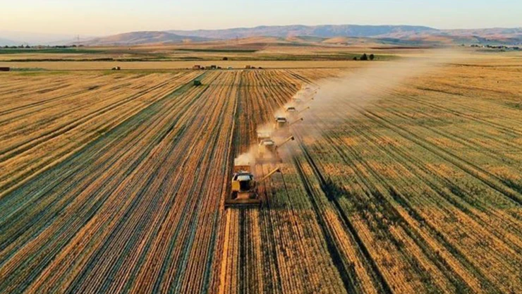 Türkiye'nin tarımsal hasılası 68,5 milyar dolara ulaştı