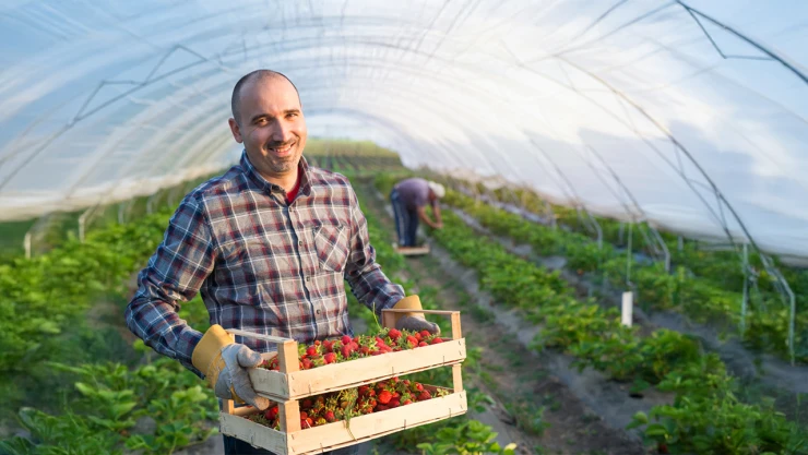Türkiye'ye 400 bin dolar hibe