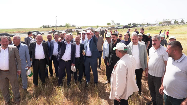 TZOB Genel Başkanı Bayraktar, kuraklıktan etkilenen tarlaları inceledi