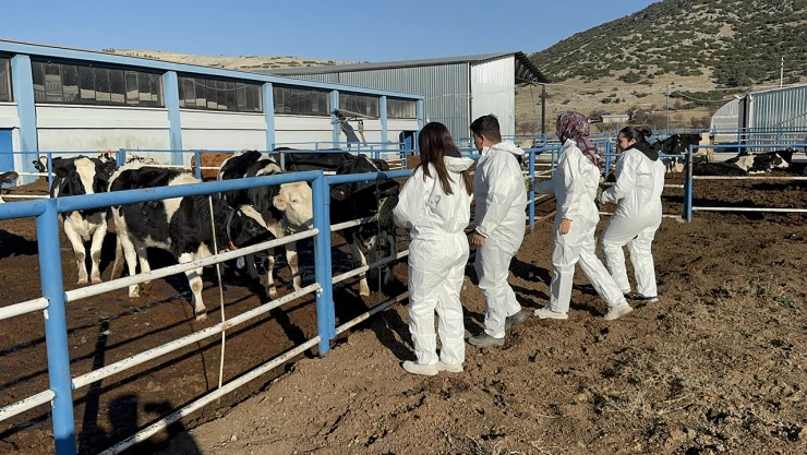 Üniversitenin uygulama çiftliği öğrencilere büyük imkan sağlıyor