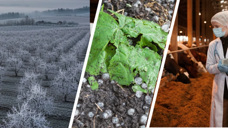 Üreticilere 4,2 milyar lira hasar tazminatı ödendi