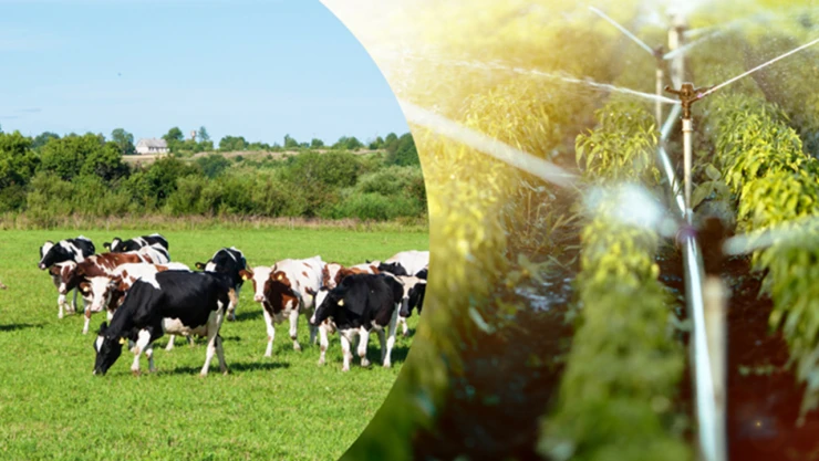 Üretimin bereketi için 471 Milyon Liralık yeni destek hamlesi