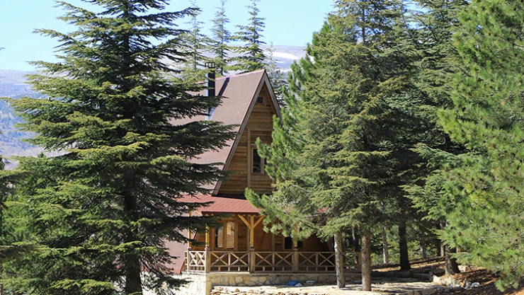 Yalnız Ardıç bungalov evlerde rezervasyonlar başladı