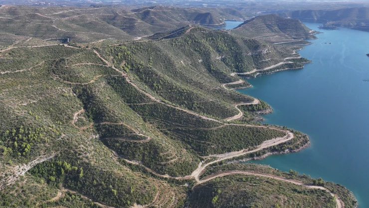 Yanan ormanlık alanlar yeniden yeşil örtü ile kaplanıyor