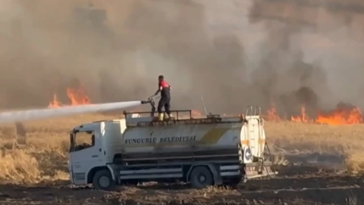 Yangında 3 bin dönüm buğday ekili arazi zarar gördü