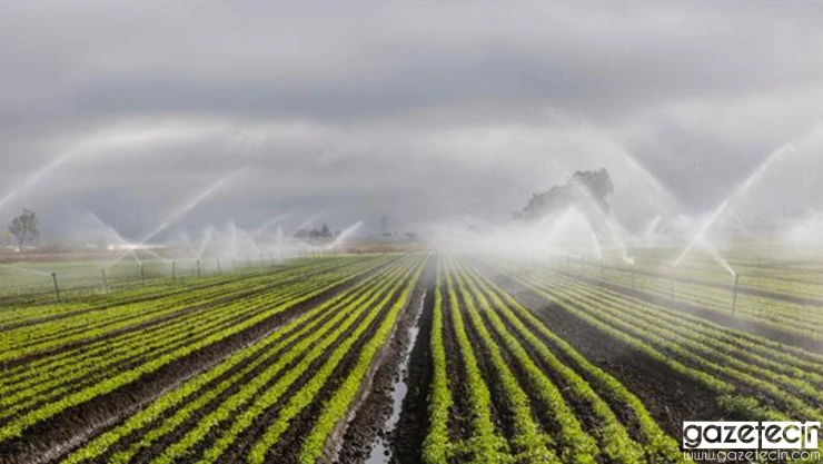 Yapay zeka destekli sulama otomasyonu hamlesi başlatıldı