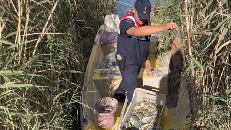 Yasa dışı mavi yengeç avlayan 2 şüpheli yakalandı