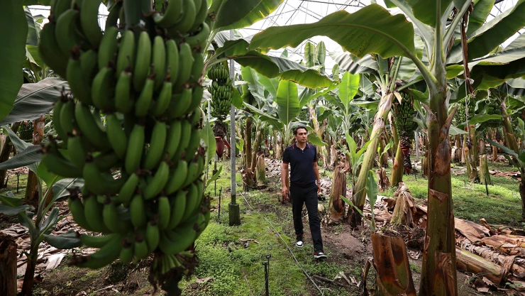 Yazılım mühendisi genç çiftçinin hedefi üretimde dijitalleşme