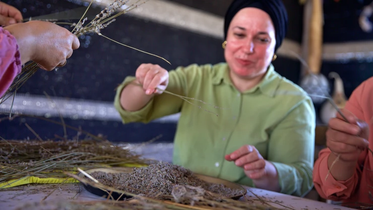 Yeniden ekonomiye kazandırılan lavanta bahçesi kadınlara gelir kapısı oldu