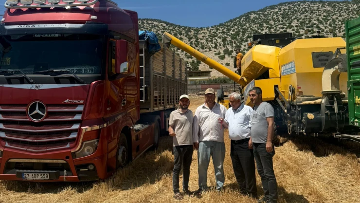 Yılın ilk buğday hasadı yapıldı