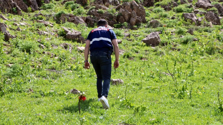Yüksekova'da ters laleleri jandarma ekipleri koruyor