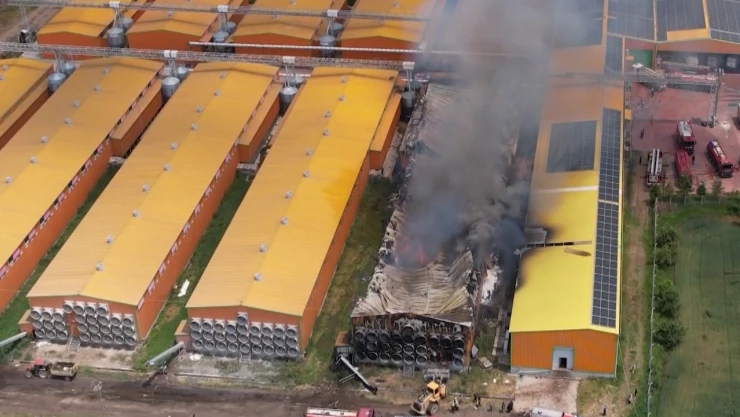 Yumurta üretim tesisinde yangın! Binlerce tavuk telef oldu