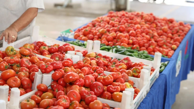 Yüzde 100 Ekolojik Pazar bu yıl yaklaşık 6,5 milyon lira ciro elde etti