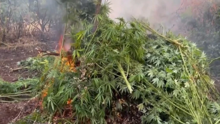 Zehir tacirlerinin planları alt üst oldu