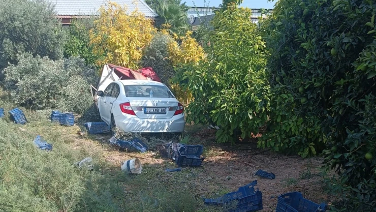 Zeytin toplayan işçilere otomobil çarptı! 1 kişi öldü, 3 kişi yaralandı