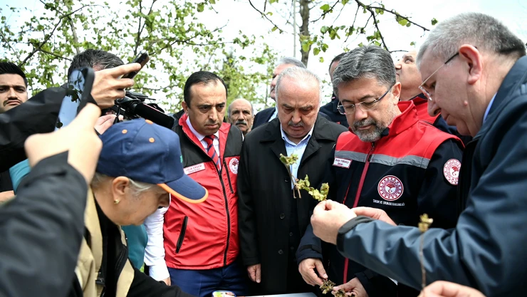 Zirai don sonrası saha çalışmaları sürüyor