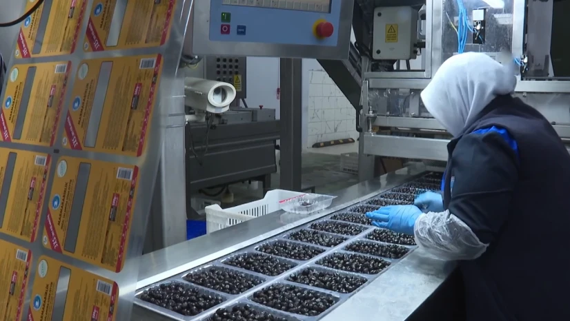 68 ülkeye ihraç eden Marmarabirlik'in hedefi Orta Doğu pazarı