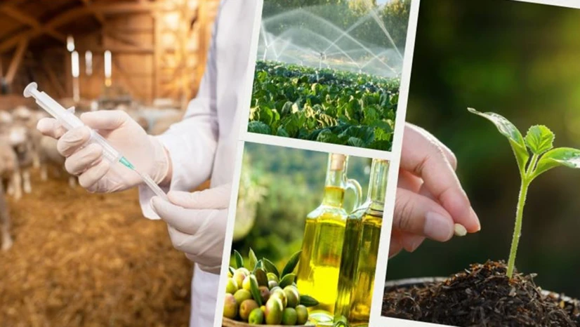 712 milyon liralık destekleme ödemesi hesaplarda