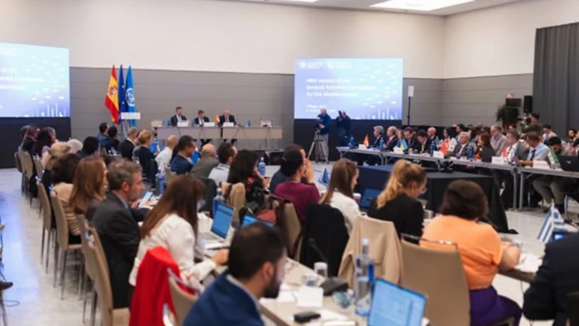 Akdeniz Genel Balıkçılık Komisyonu Başkanlığına Türkiye seçildi