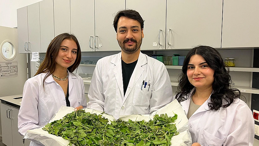 Antibiyotik direncine karşı doğal çözüm