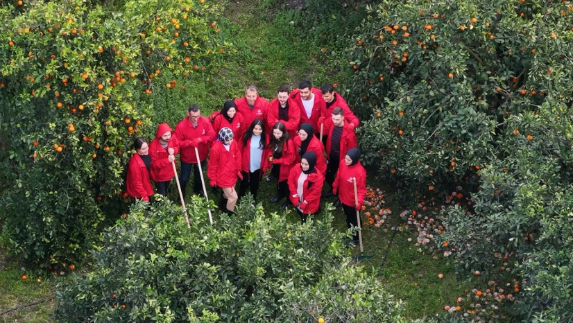 Genç gönüllüler narenciye hasadına katıldı