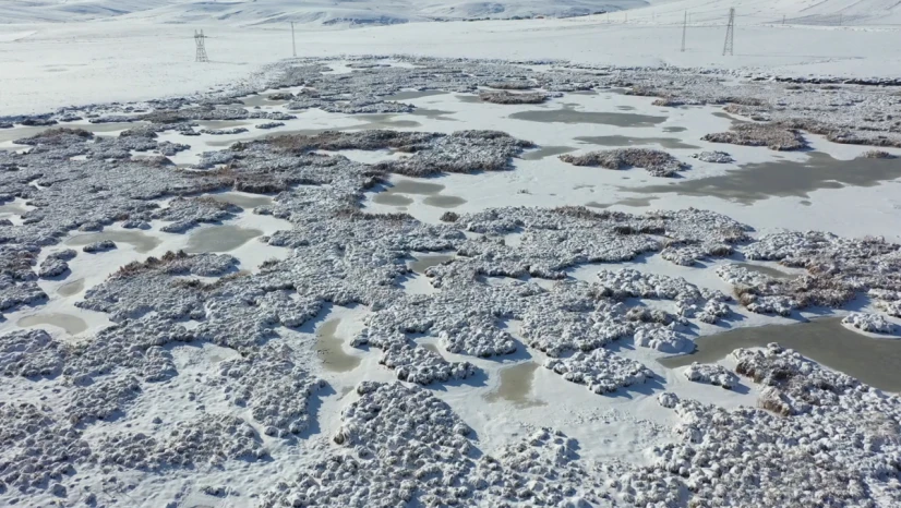 Göç eden kuşları ağırlayan Çalı Gölü dondu
