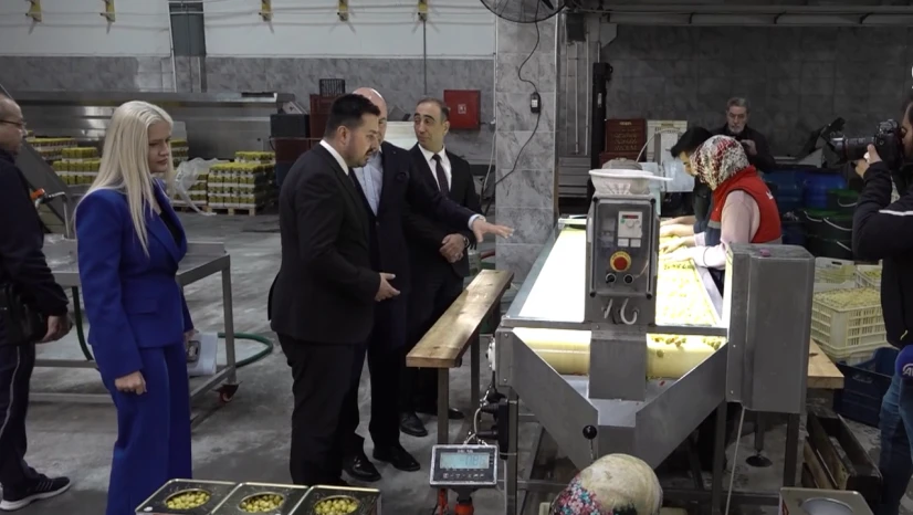 IPARD programlarıyla 26 bin projeye destek sağlandı