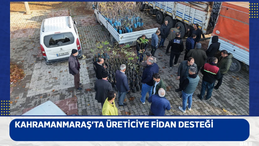 Kahramanmaraş'ta üreticiye fidan desteği