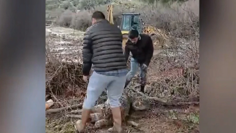 Sel ve toprak kayması nedeniyle 44 küçükbaş telef oldu